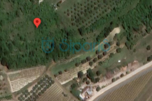 Land, 5578 m2, For Sale, Buje - Krasica