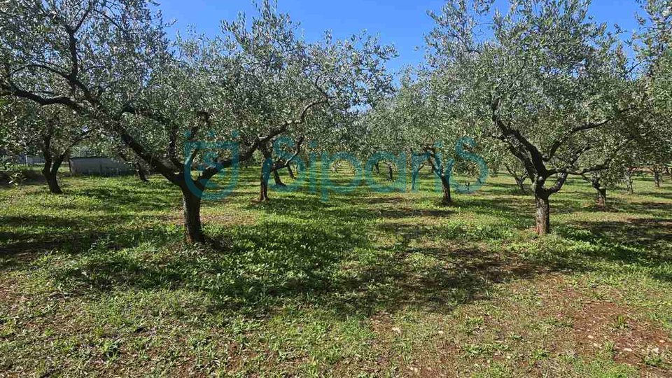 Terreno, 8834 m2, Vendita, Zambratija